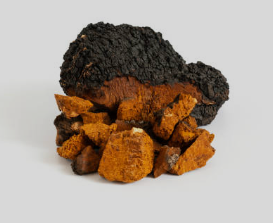 Mushroom Coffee Fusion - Lion’s Mane & Chaga 16oz